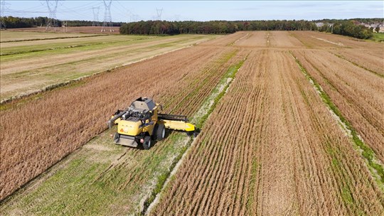 Les agricultrices du Québec sont aux prises avec une surcharge mentale