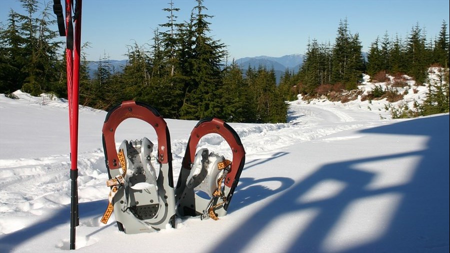 Avec Accès nature, on bouge dehors cet hiver!