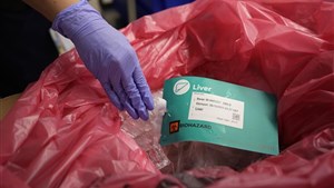 Près de 80 % des Québécois veulent une loi sur le don d'organes