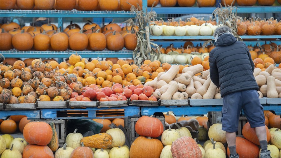 L'automne devrait être chaud et sec, mais gare aux vestiges de tempêtes!