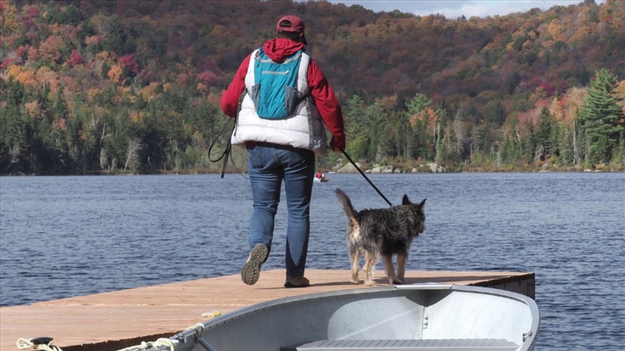 Développement du tourisme canin sur le site du parc Éco-Laurentides